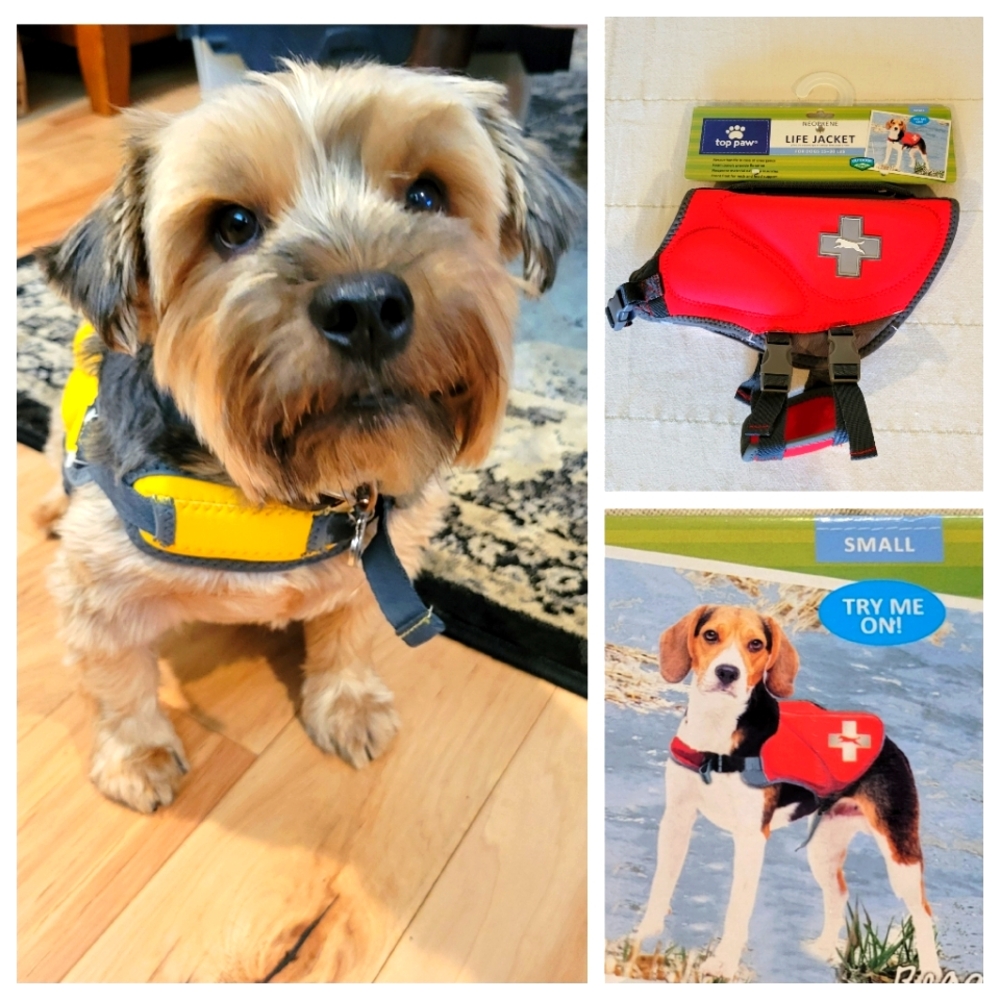 🌞Host Pick!🌞 Adjustable Neoprene Red Dog Life Jacket S